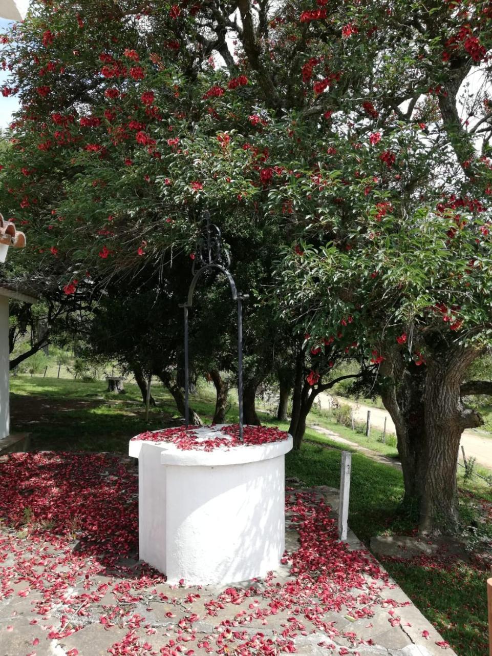 מלון פונטה דל אסטה La Calaguala מראה חיצוני תמונה
